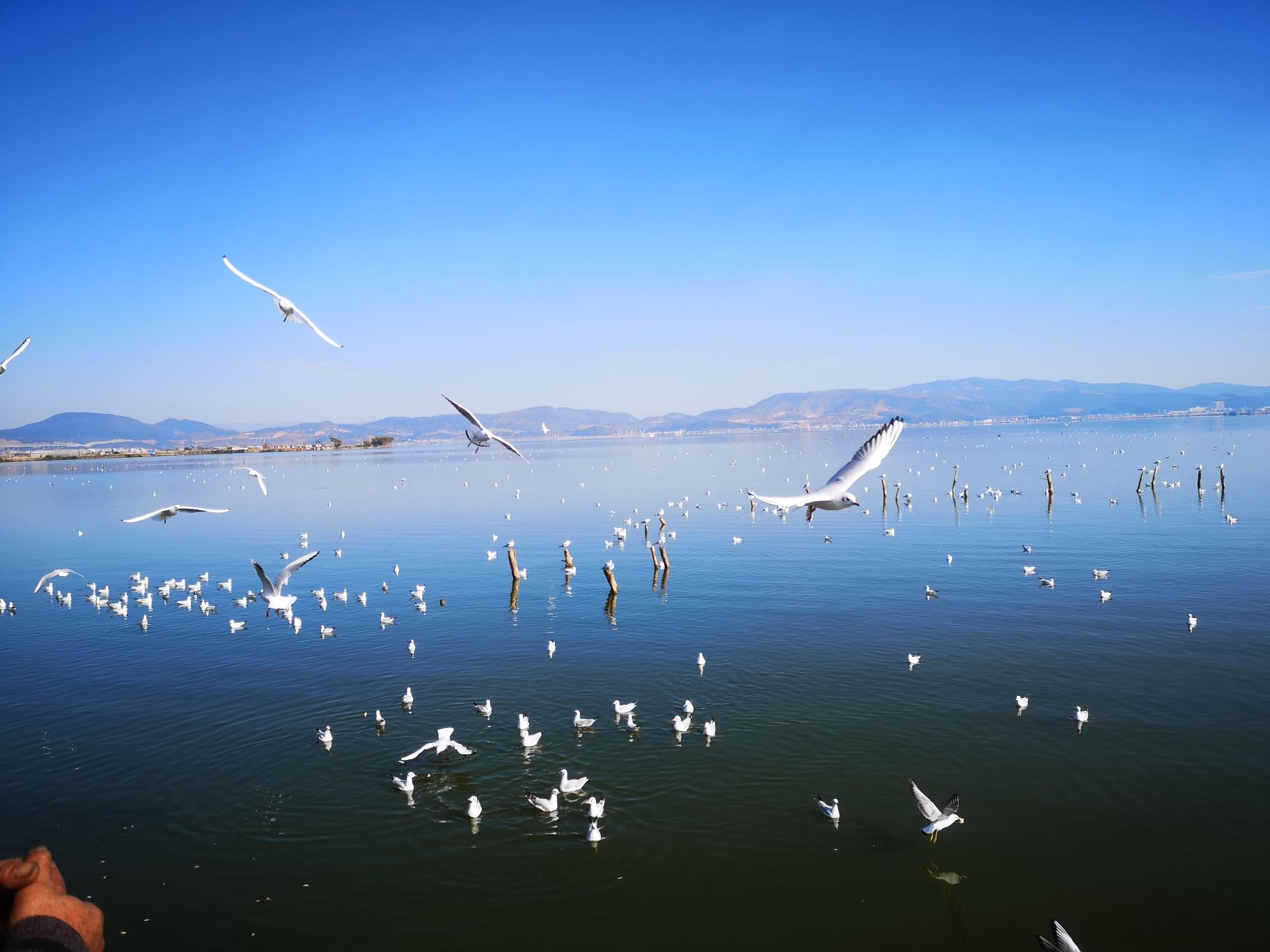 纳古镇小海公园