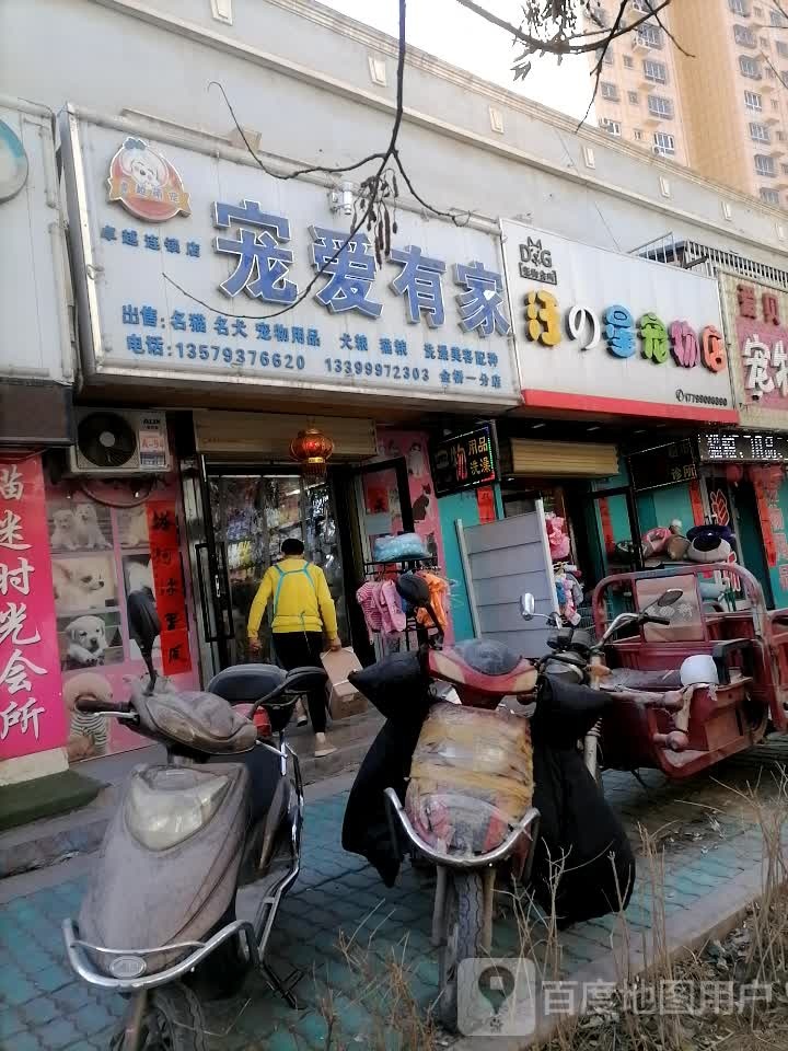 宠爱有家(金桥路店)