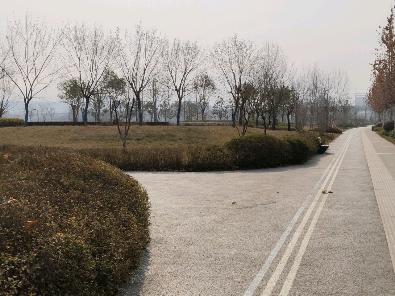 高新区清水河公园