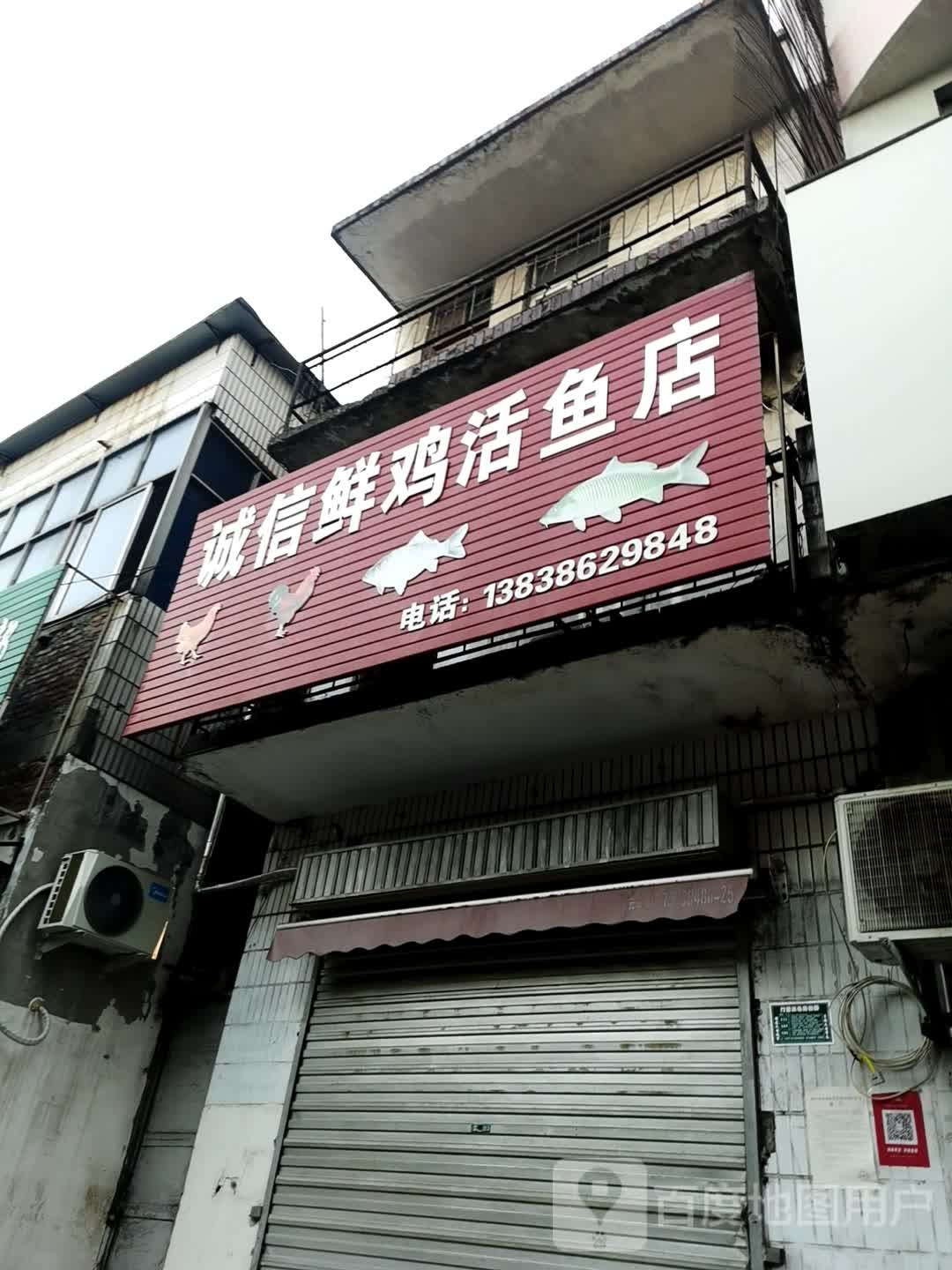 诚信鱼店