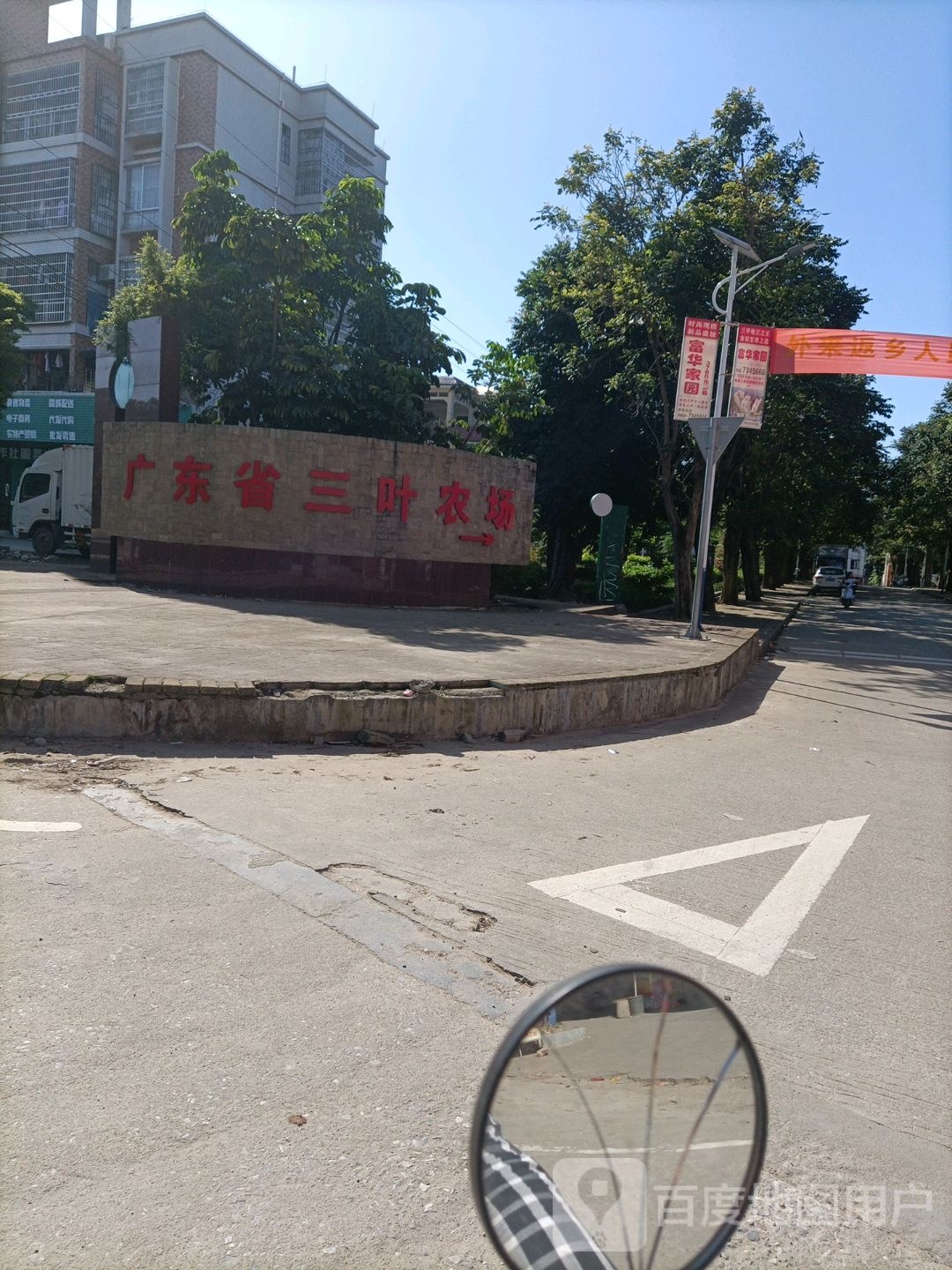 广东省三叶农场