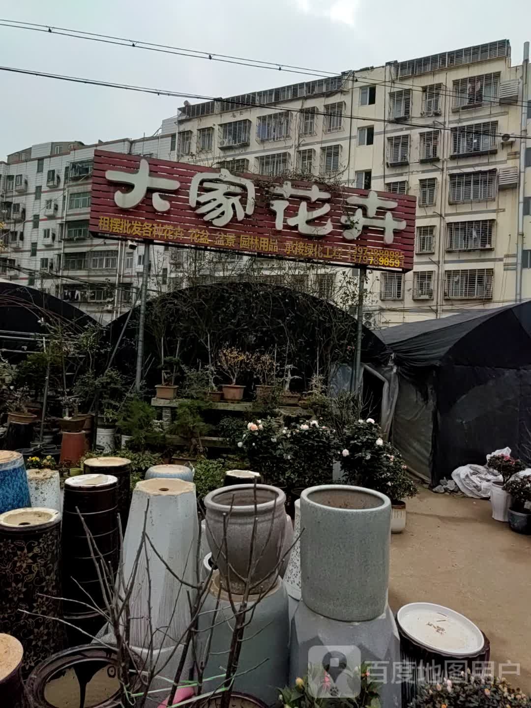 大家花卉
