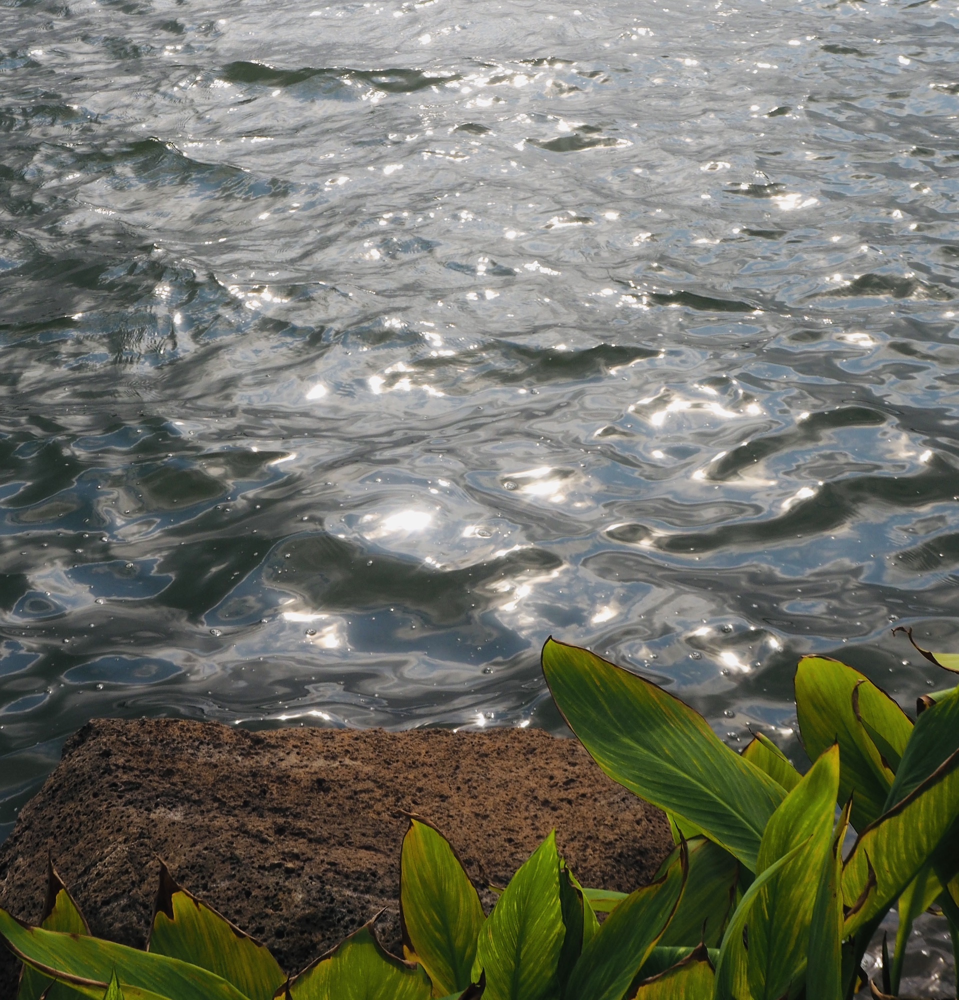 玥珑湖景区