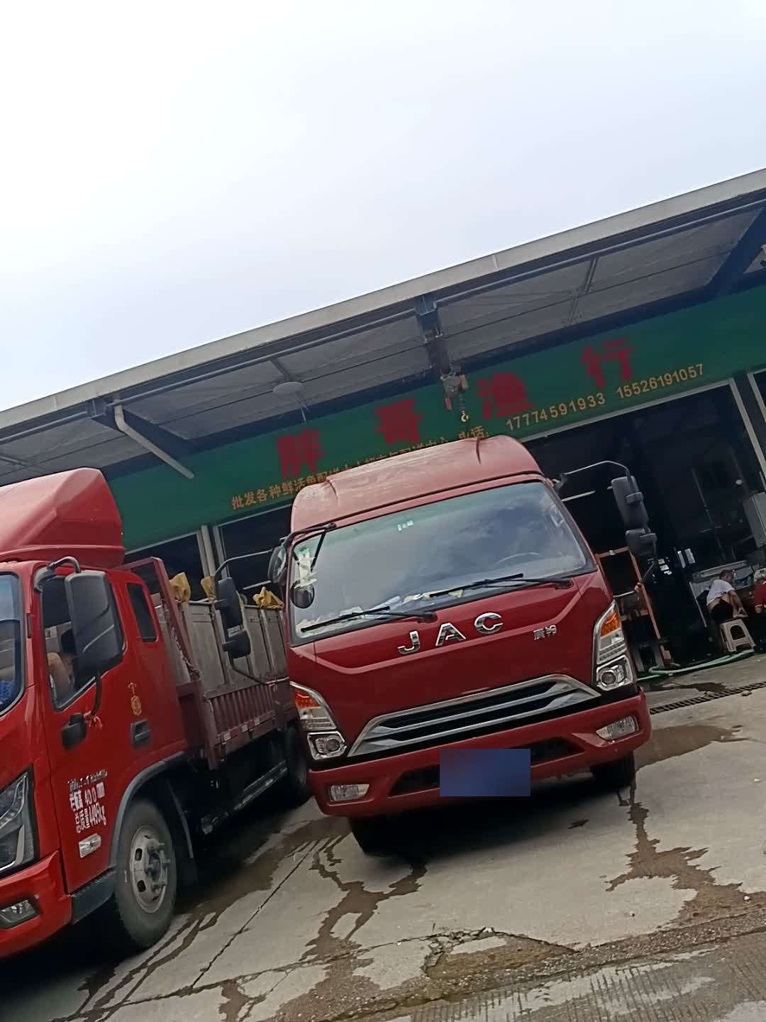 胖哥鱼行