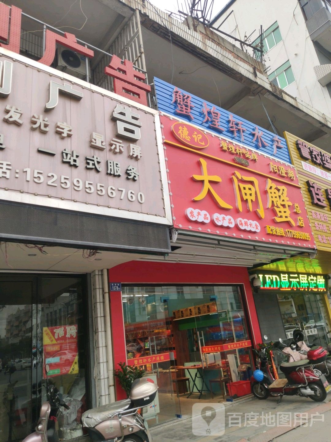 蟹煌轩阳澄大闸闸蟹(泉州总店)