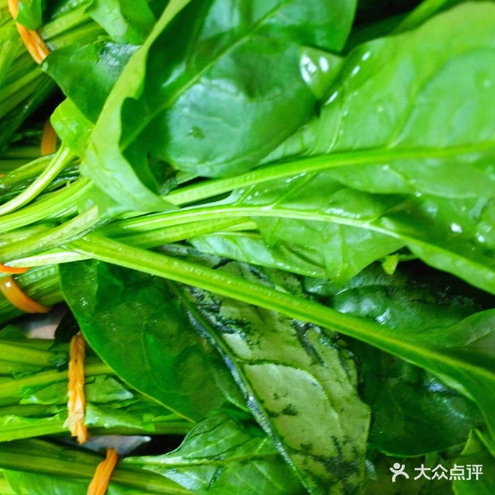 香飘麻辣烫(九州广场店)
