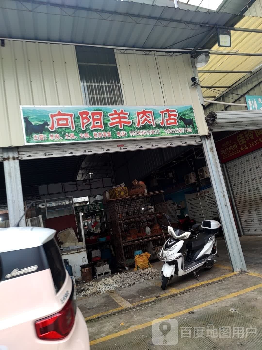 向阳羊肉店
