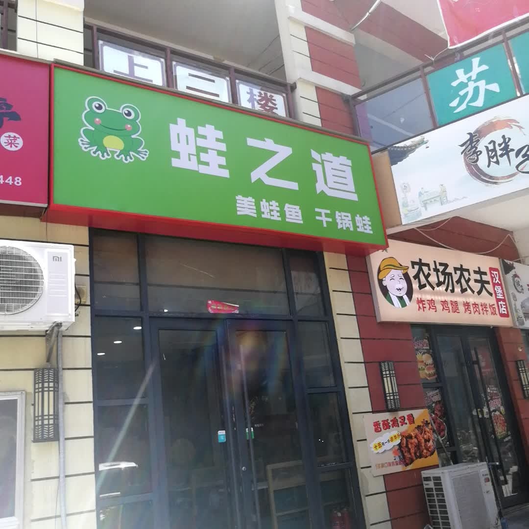 蛙之道
