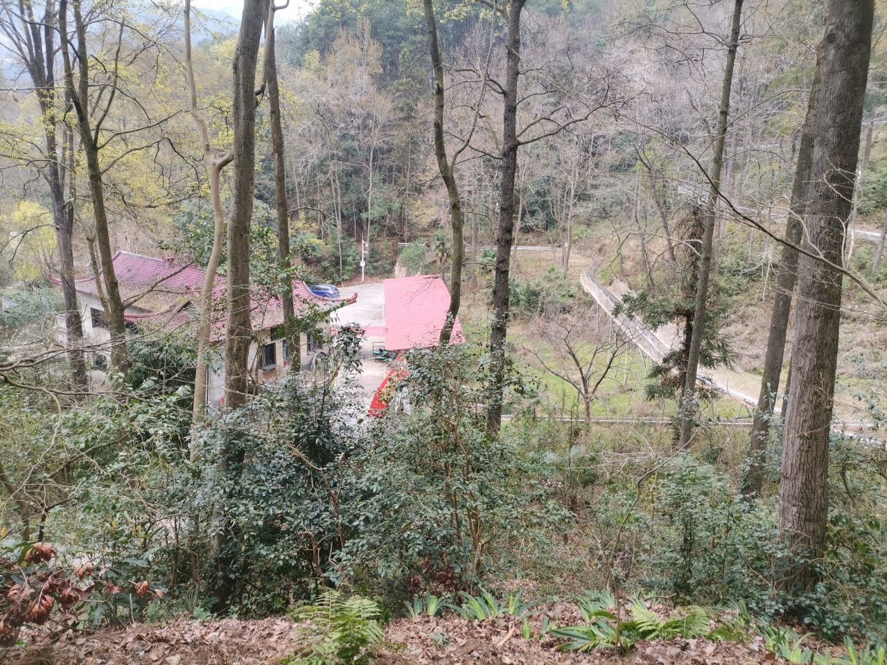旱地雪橇