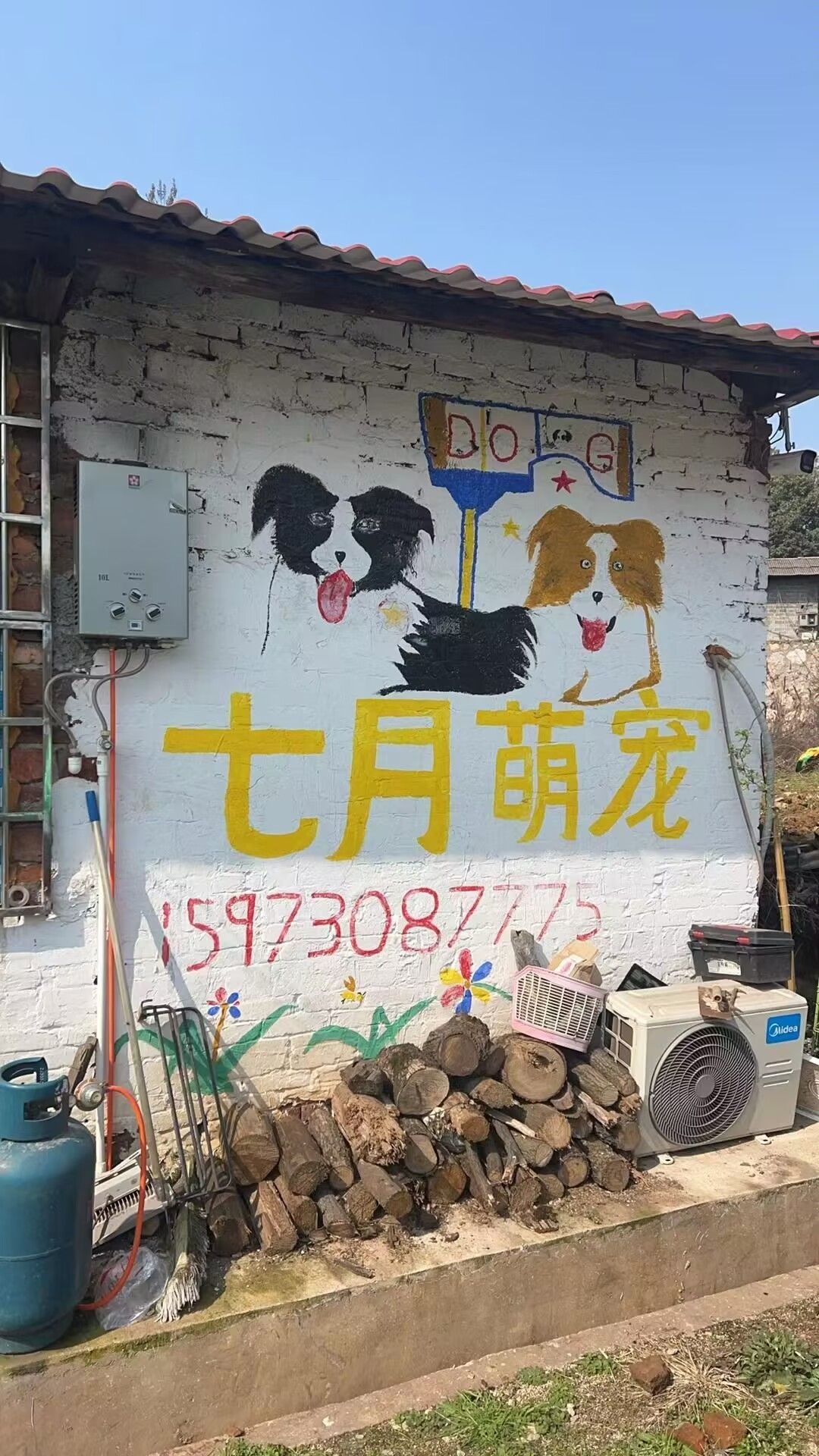 七月萌宠