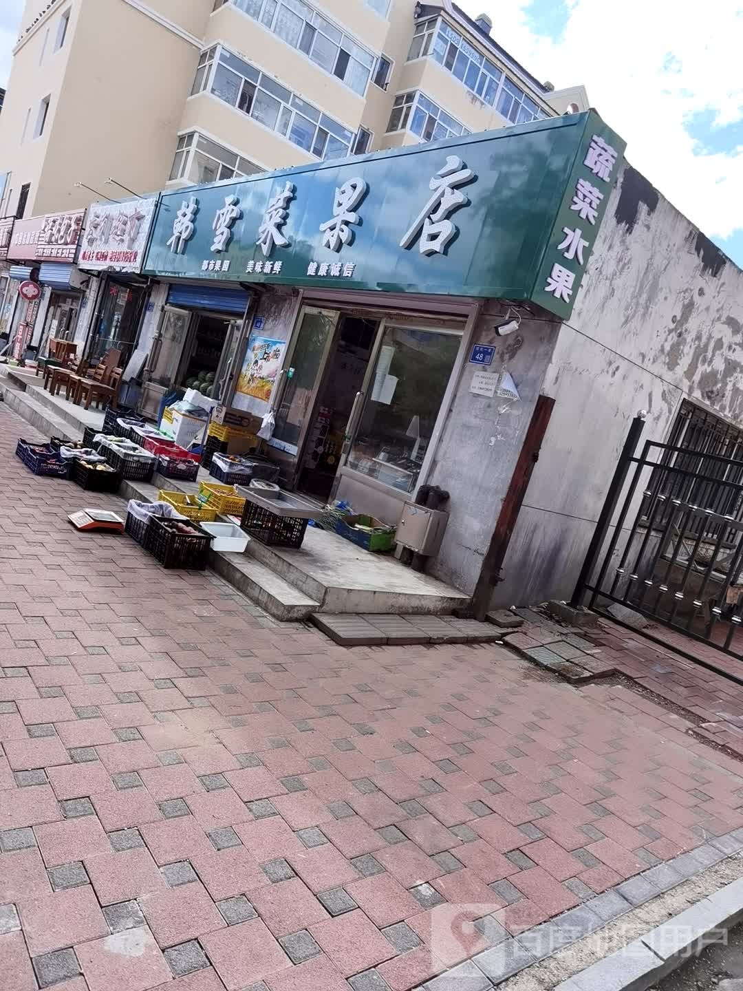 韩雪菜果店