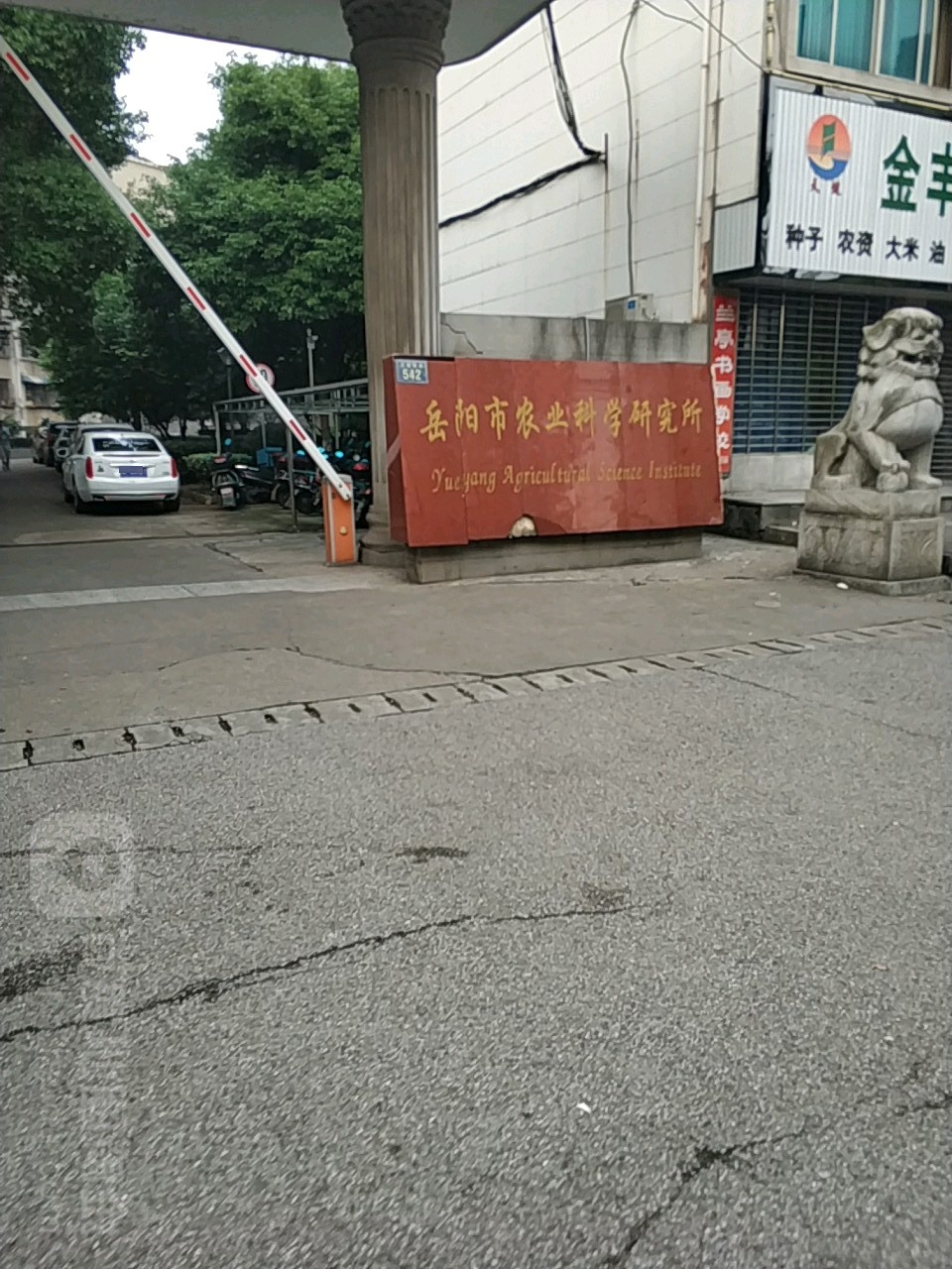 花板桥琵琶王路465号