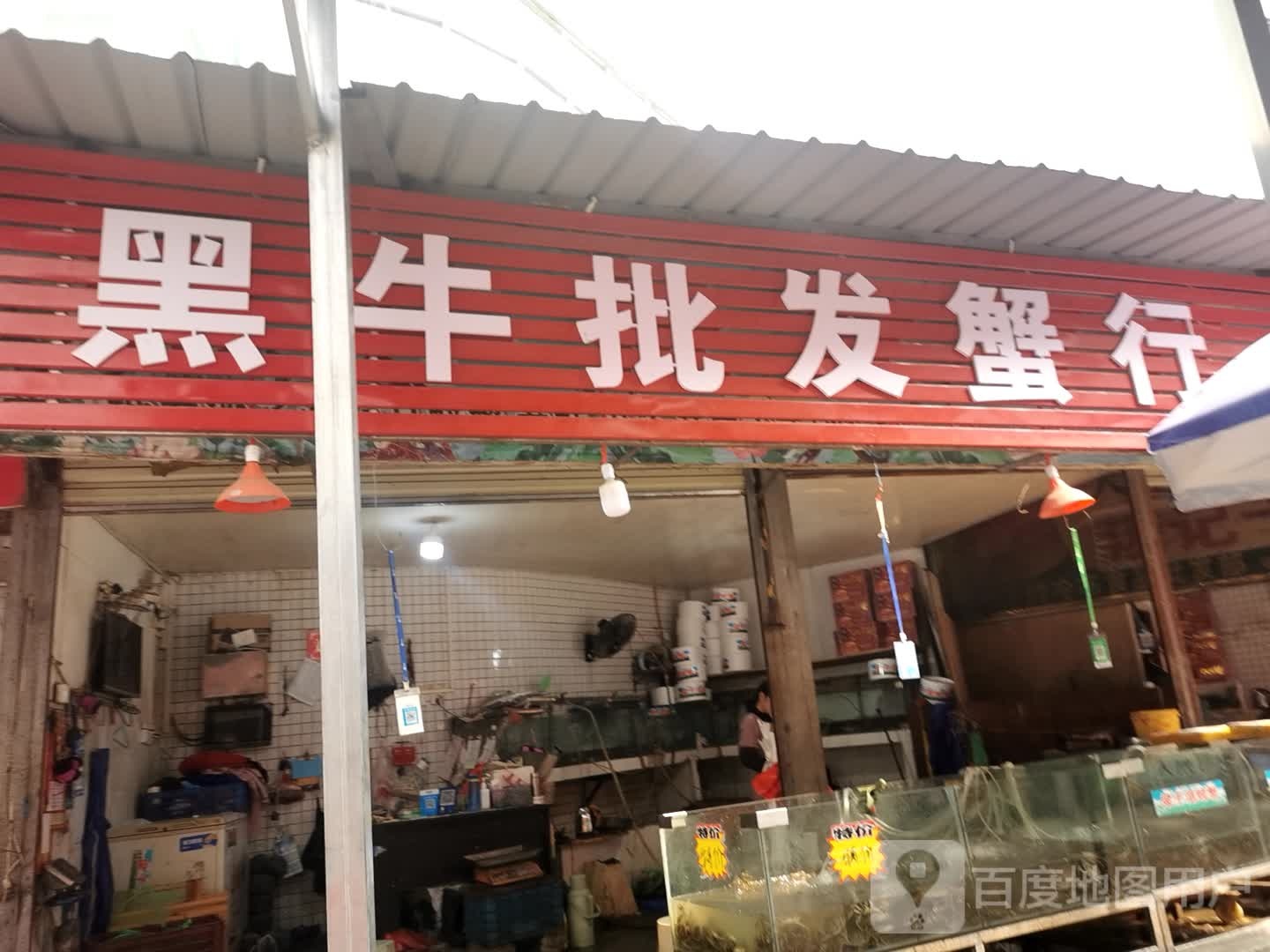 黑牛奶批蟹行