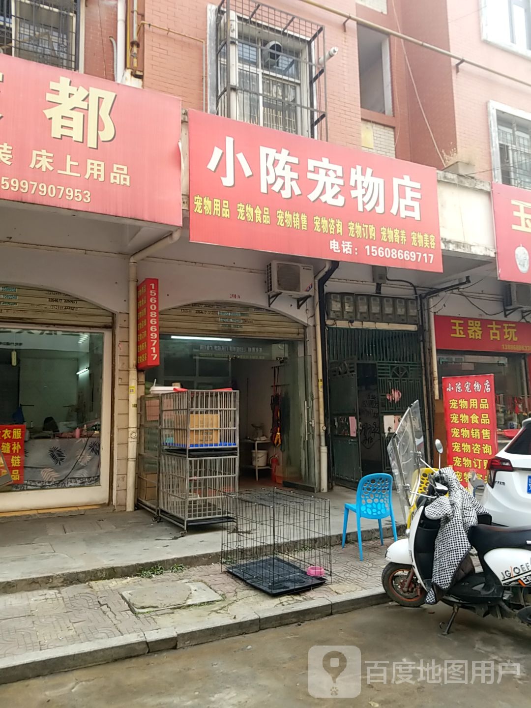 小陈宠物店