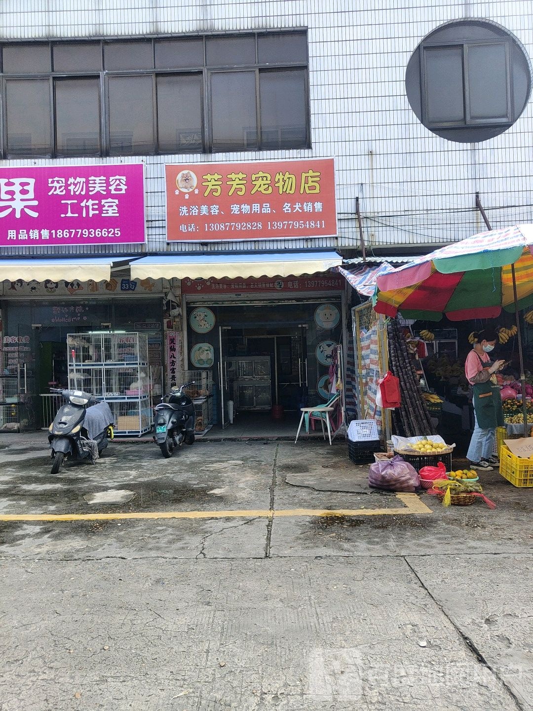 芳芳宠物店