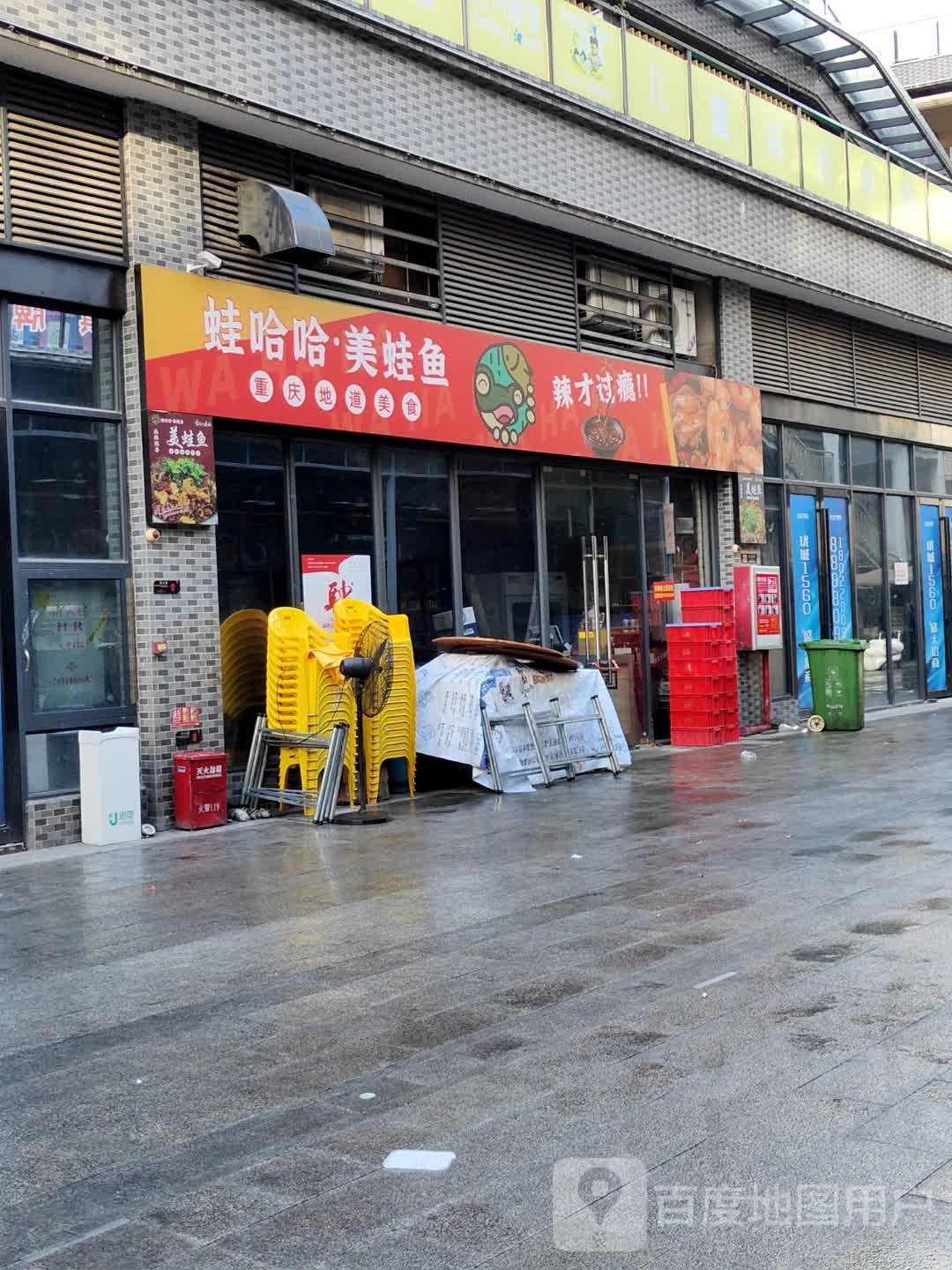 蛙哈哈·美蛙鱼