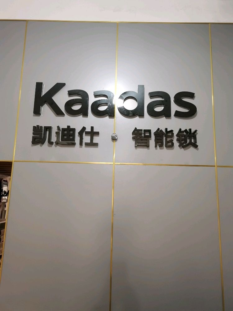 开锁汽车钥匙凯迪仕智能锁