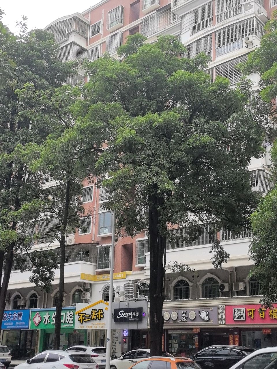 不二美术(银莲路店)