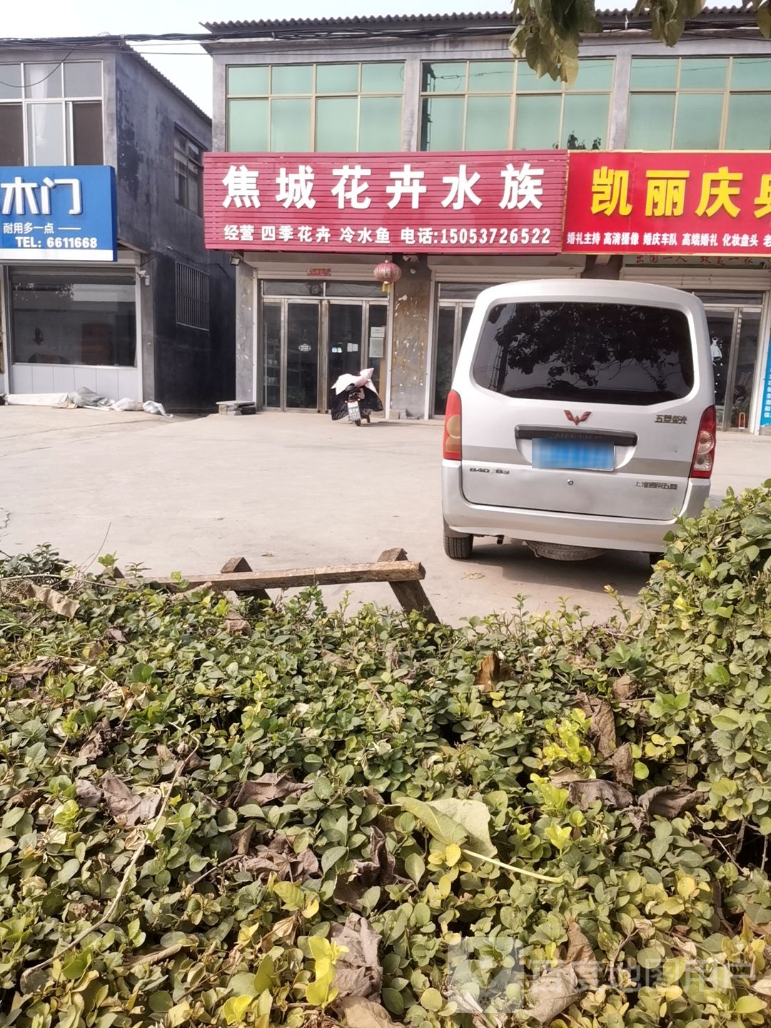 焦镇花卉店