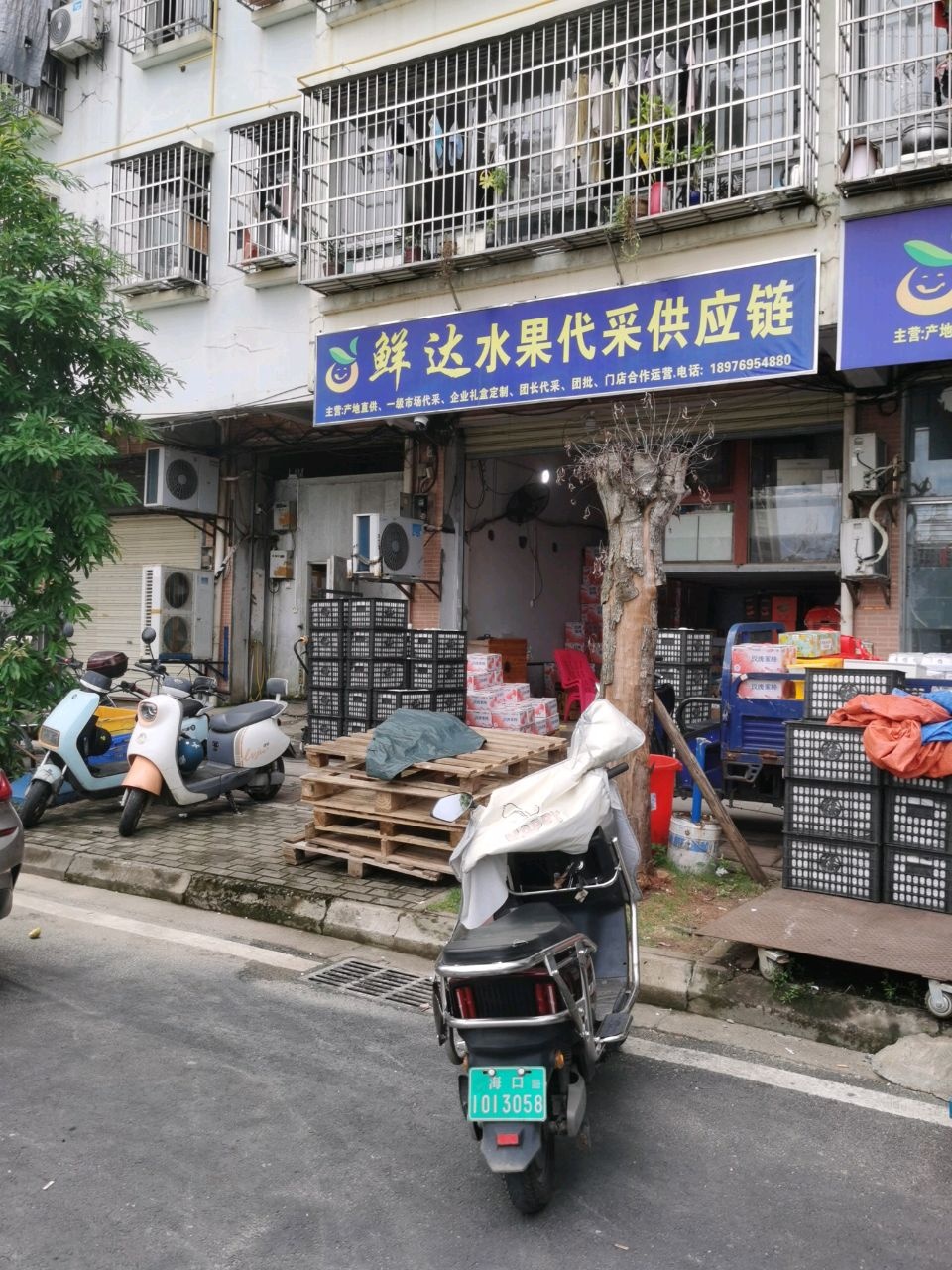 鲜达水果批发供应链