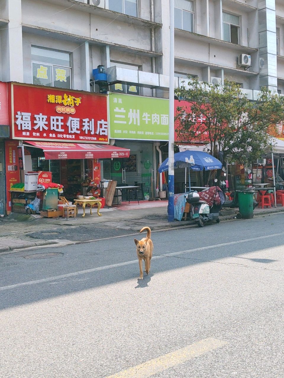 清真兰州牛肉面(天桥工程店)