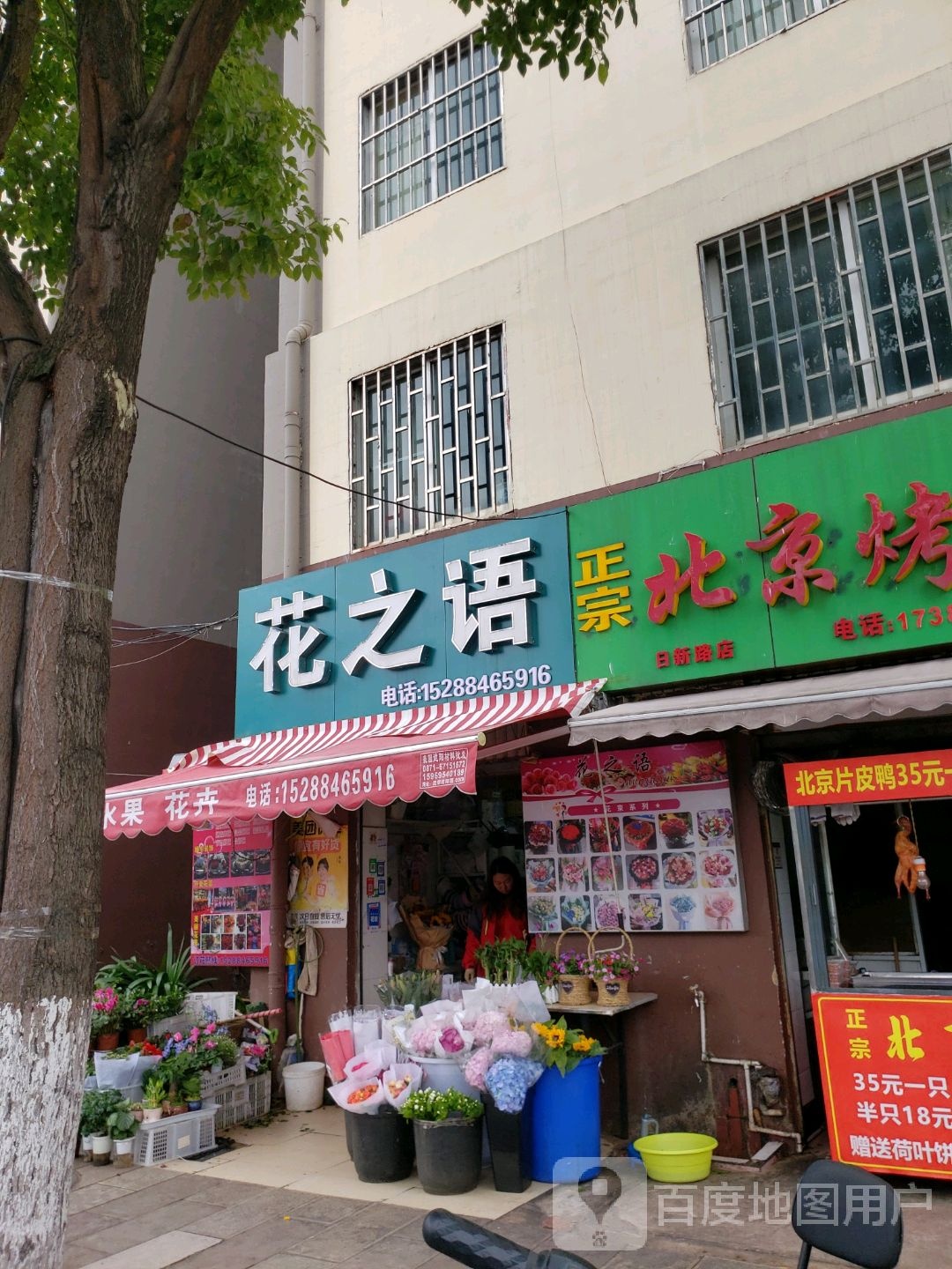 花之语(日新中路店)