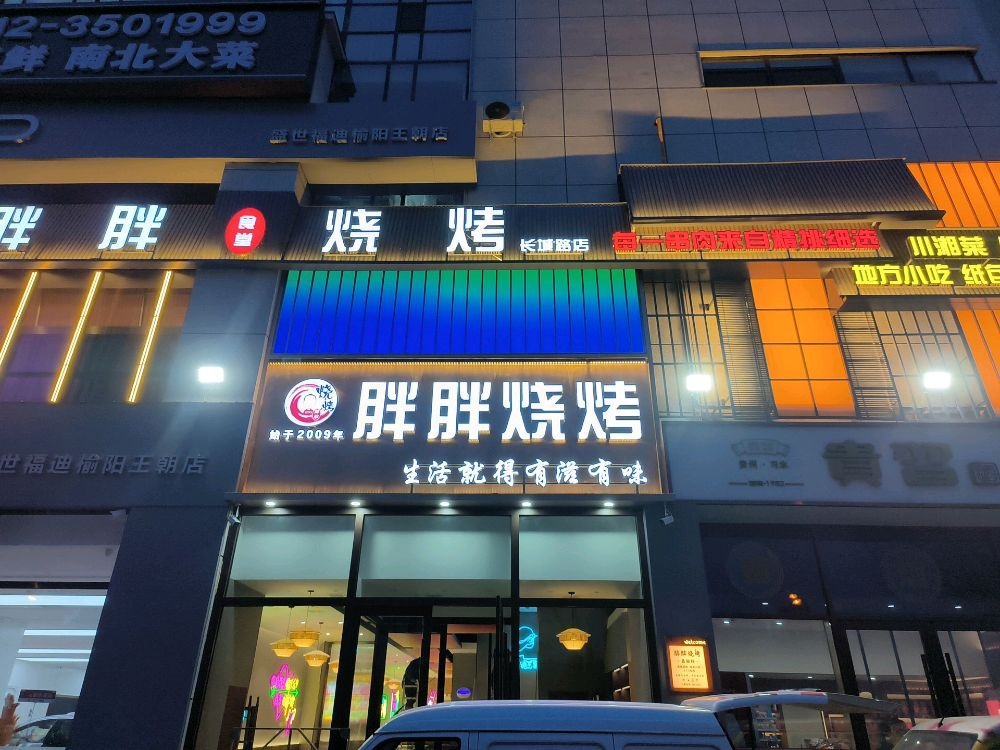 胖胖烧烤(长城路店)