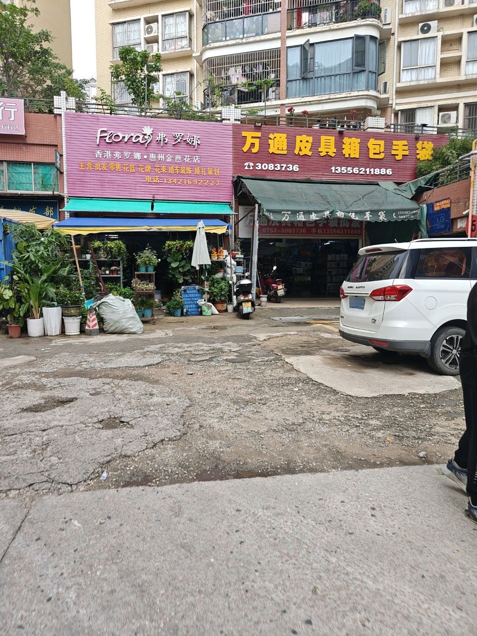 弗罗娜(惠州金意花店)