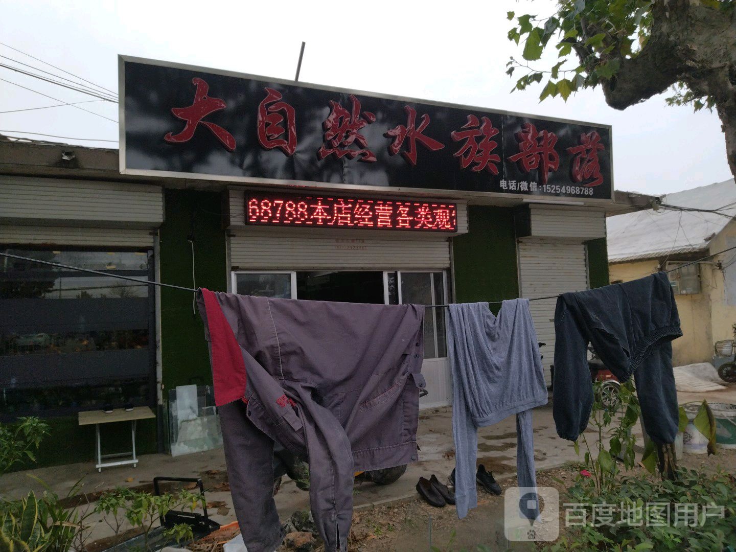 大自然水族部落