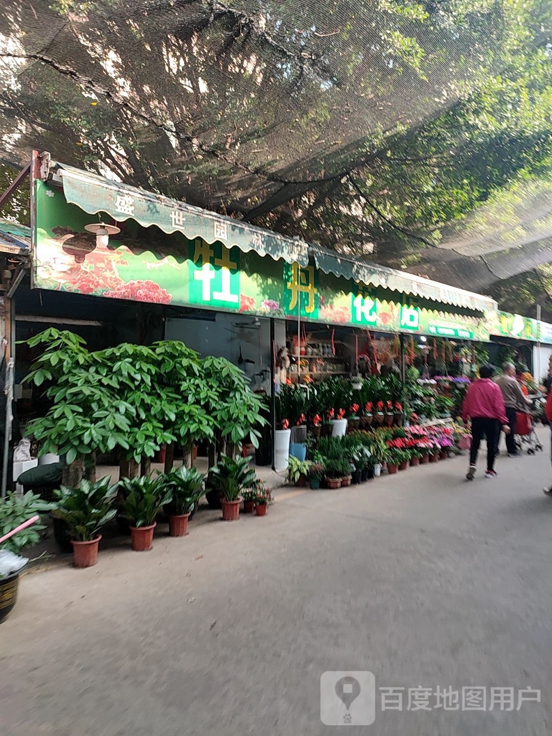 牡丹花店