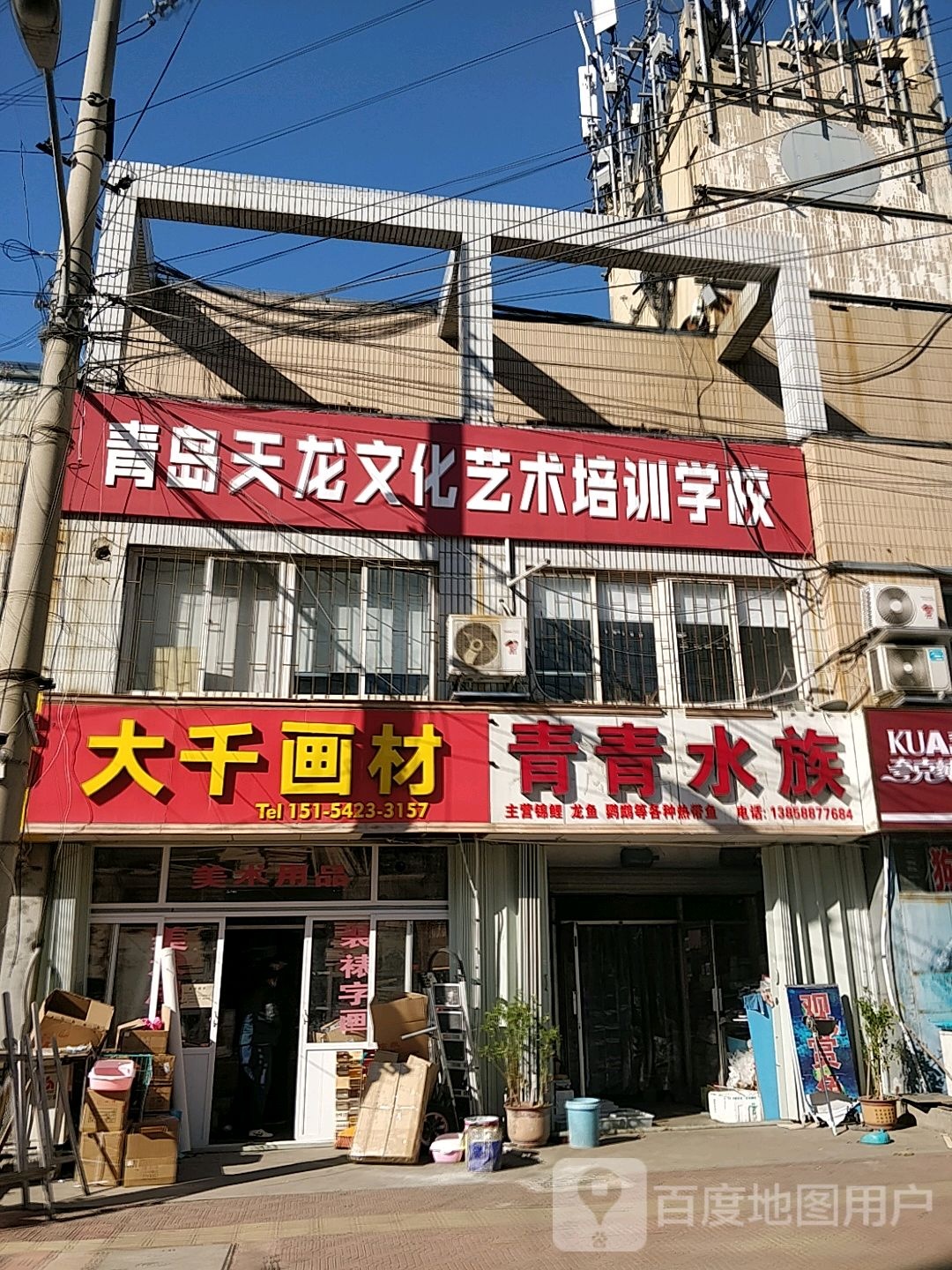 青清水族(九水路店)