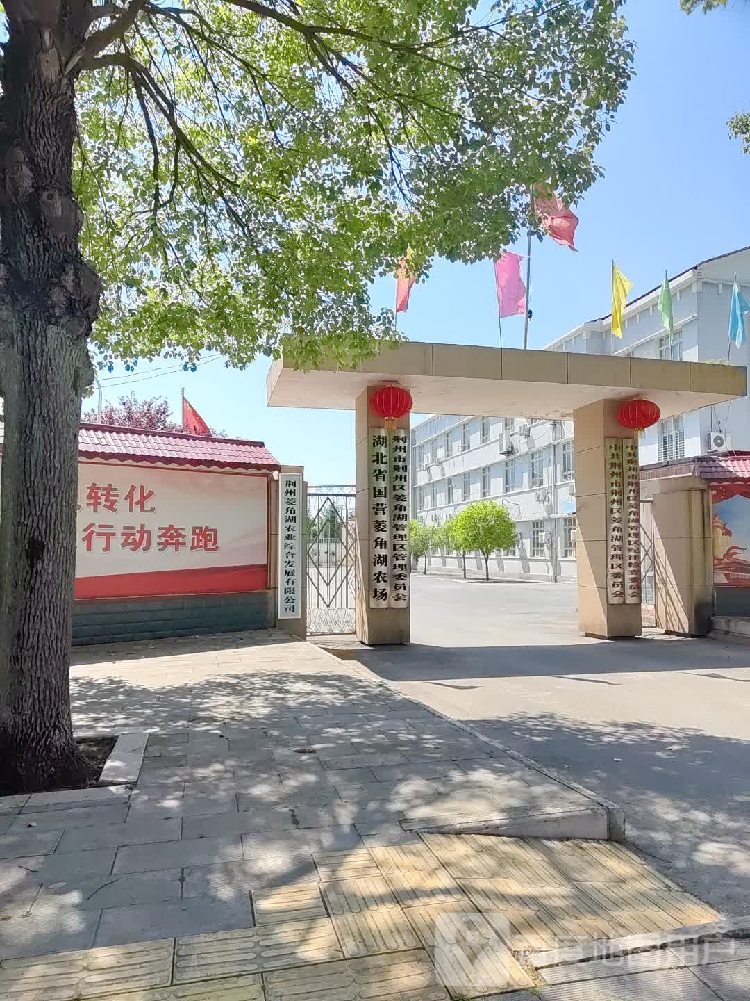 湖北省国营菱角湖农场