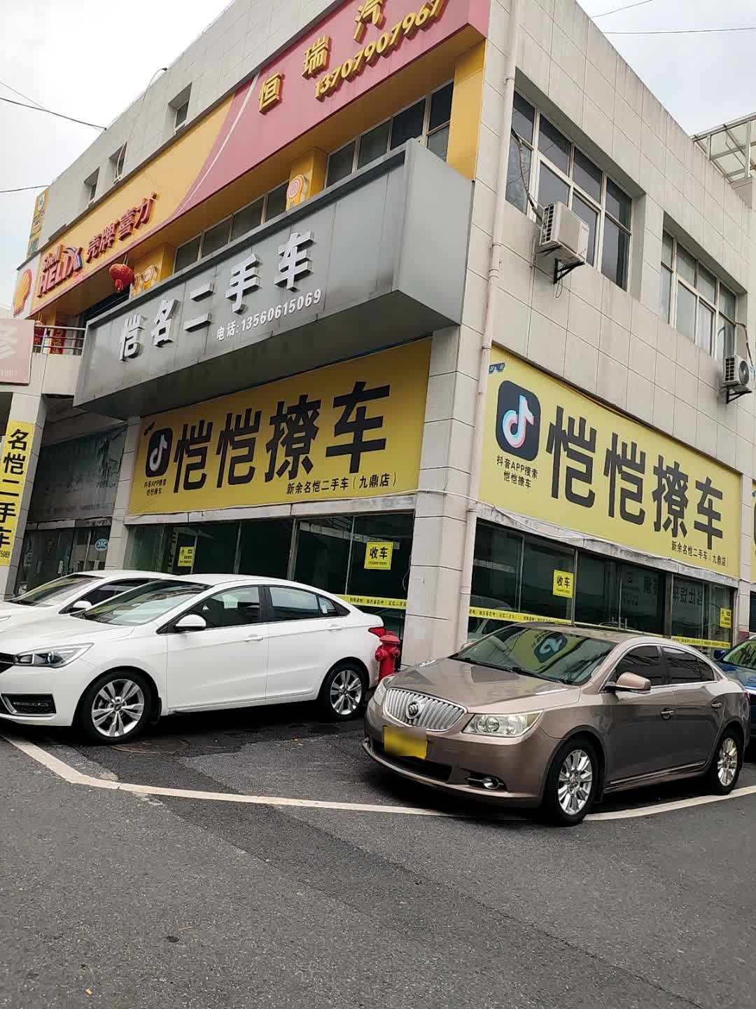 恺恺撩车