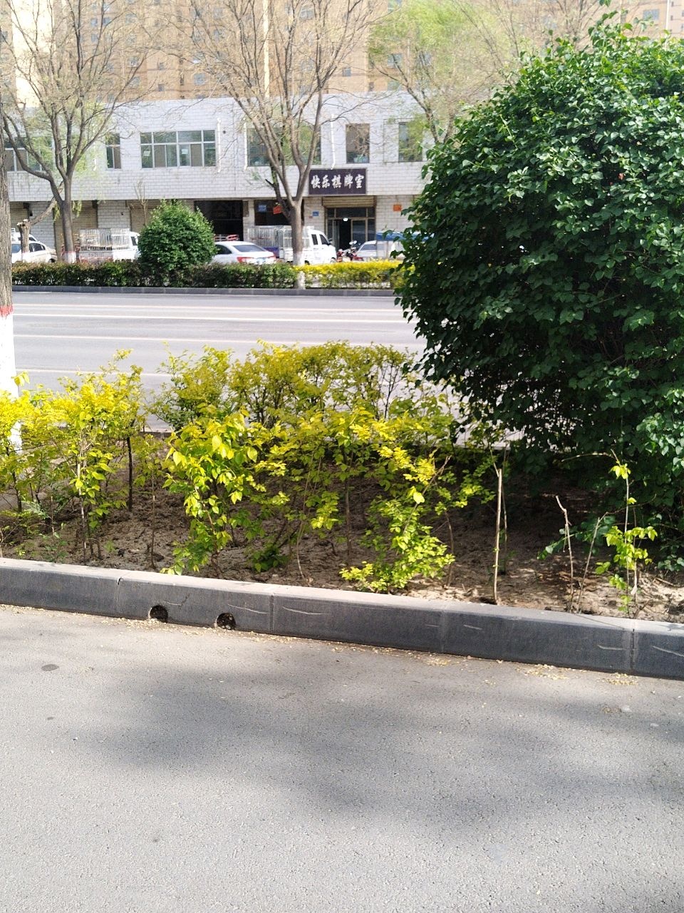 快乐棋牌室(南二环路店)