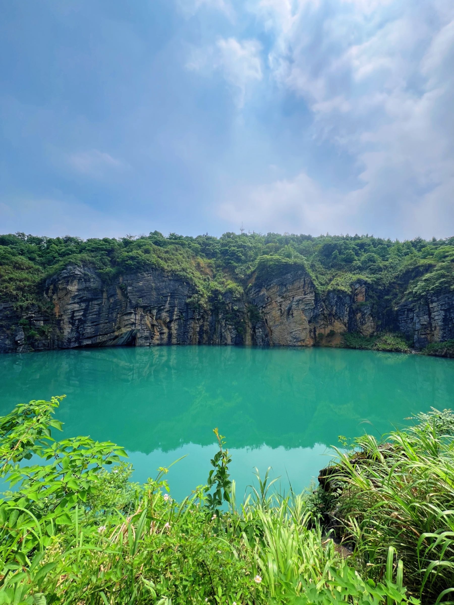 金霞山森林公园