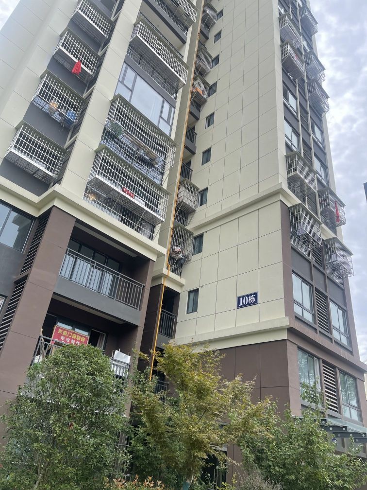 游仙高新区第三期统建安置房及配套设施建设项目四批次(凯越·东方)-10栋