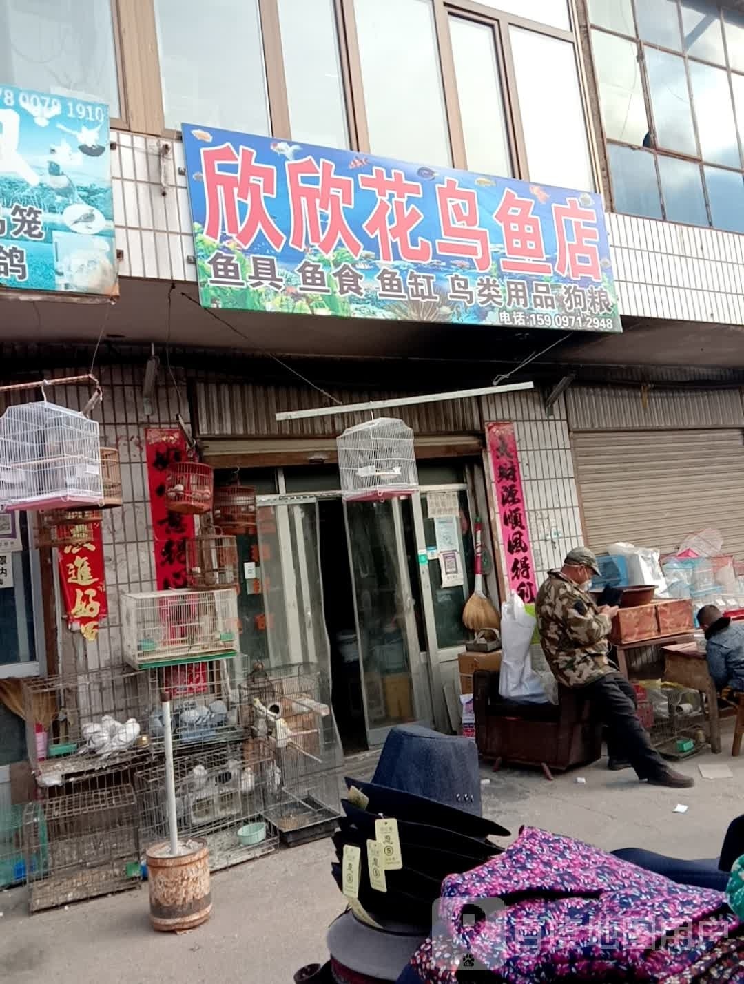 欣欣花鸟鱼店