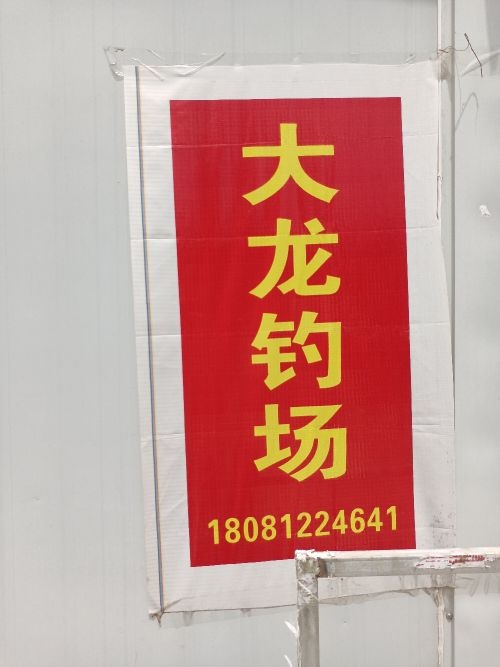 大龙钓场a