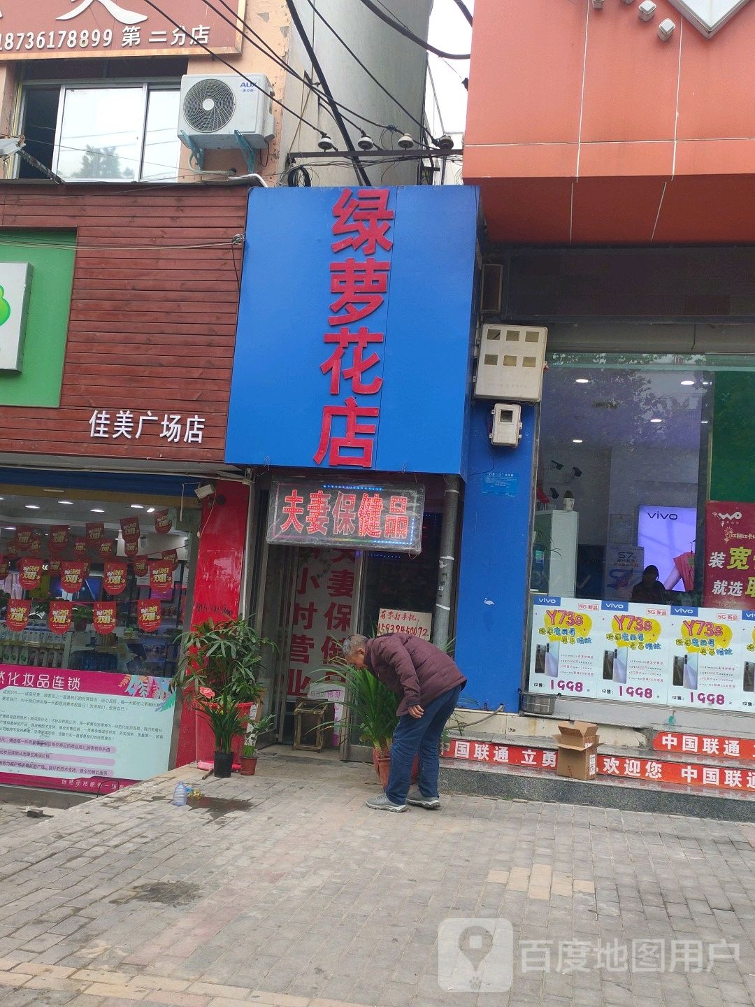 鹿邑县绿萝花店