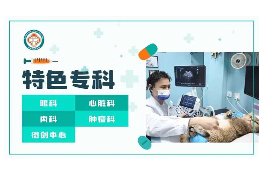 上海美卡尔宠物医院