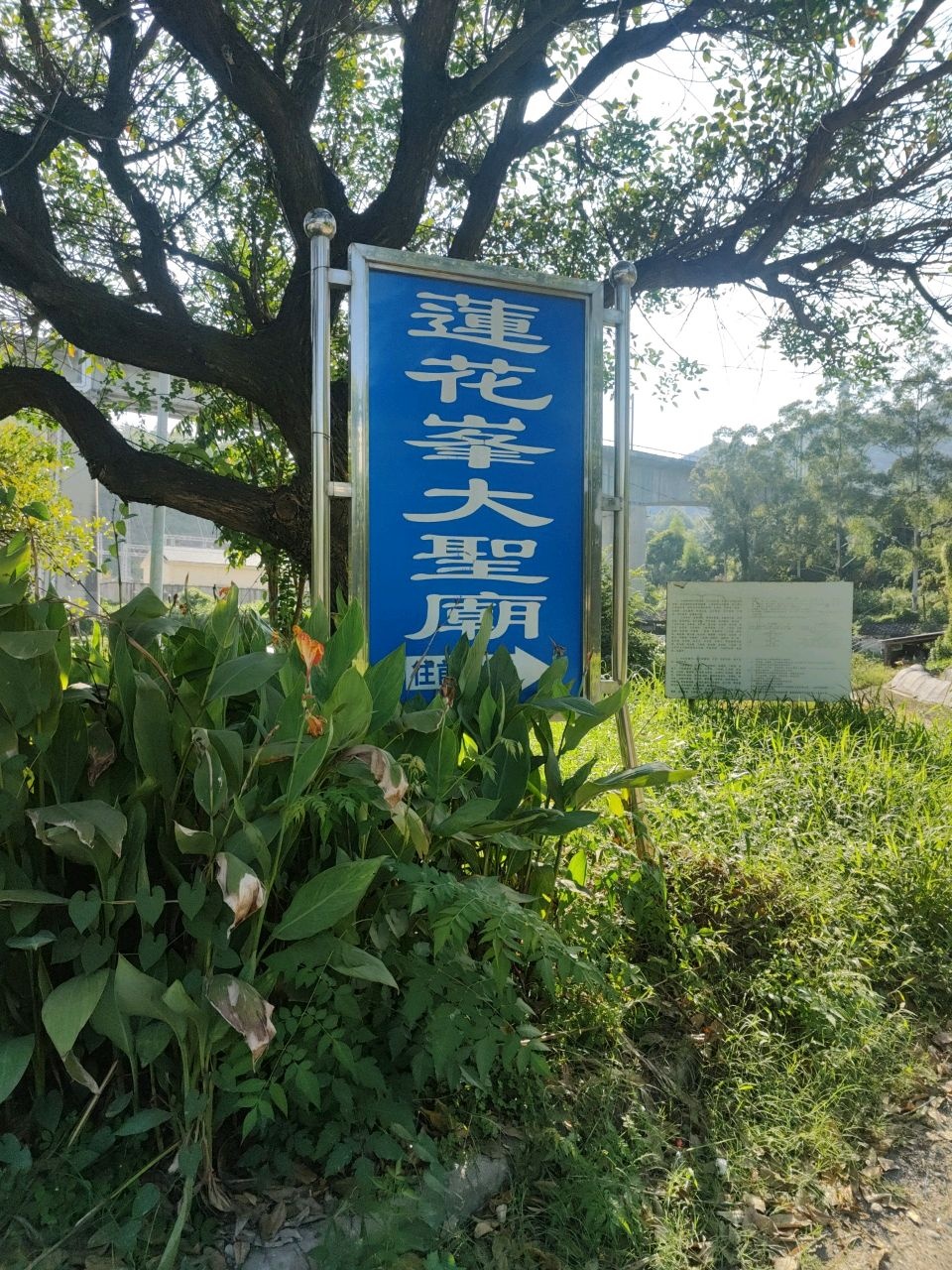 沙县莲花峰(大圣庙)