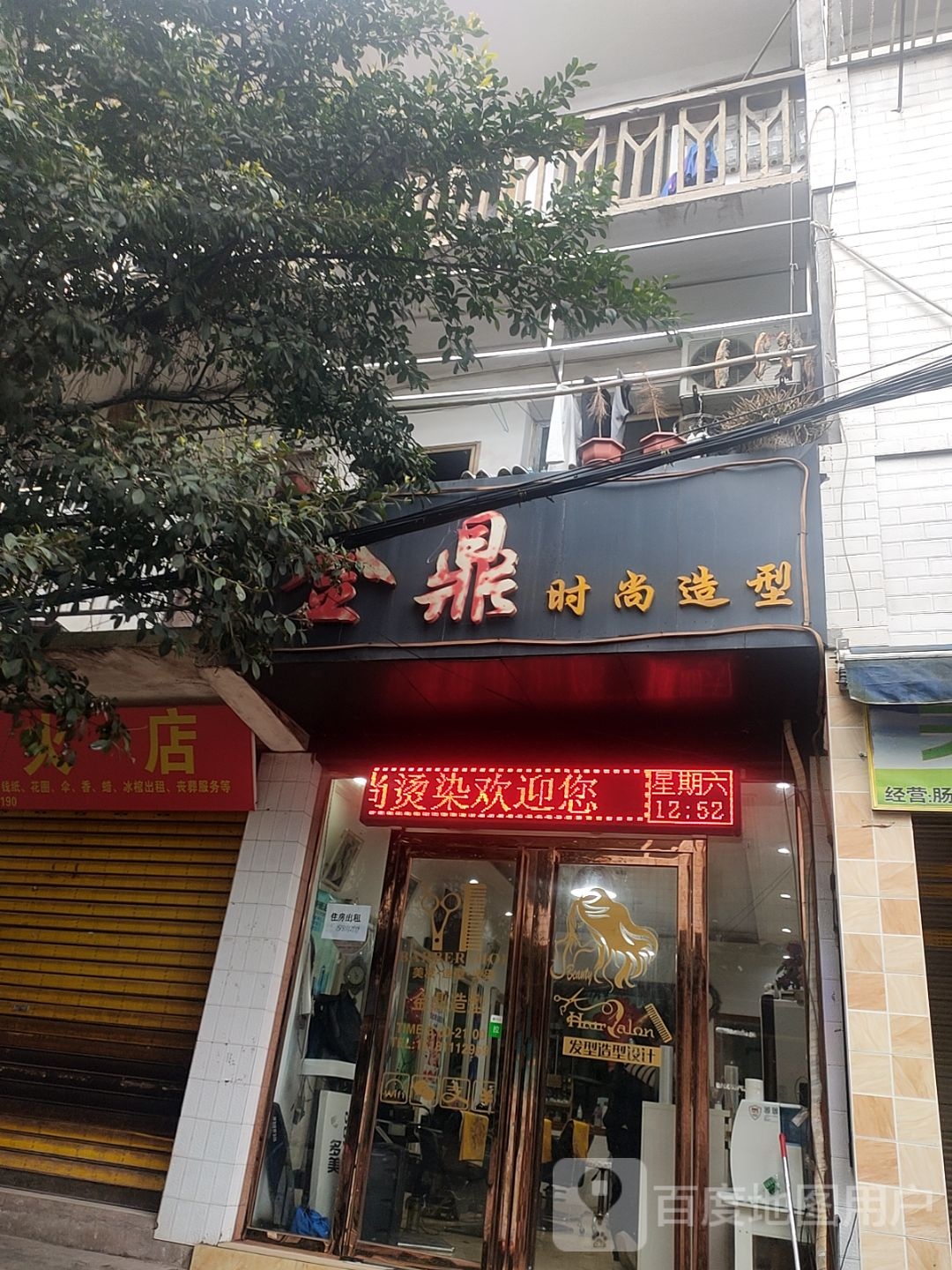 金鼎时尚龙型