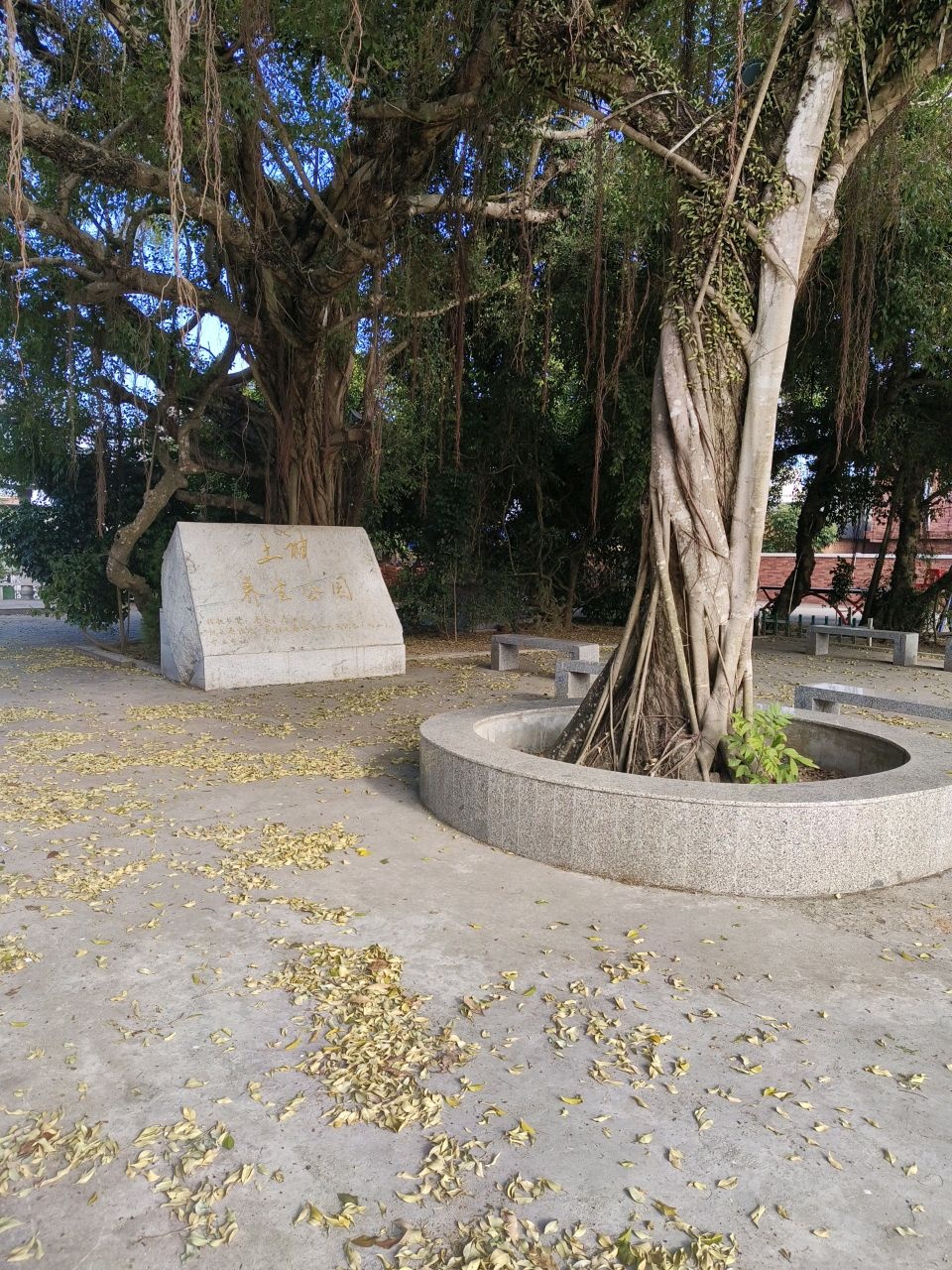 蔡屋土神养生公园