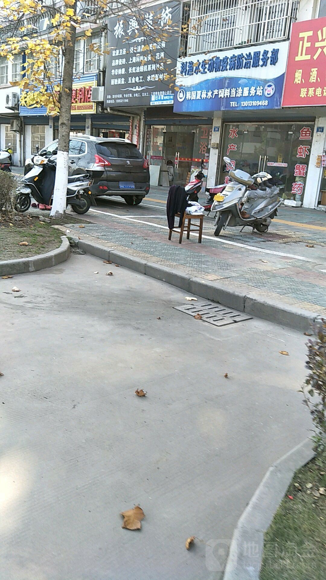 科渔水生动物宜宾防治服务部