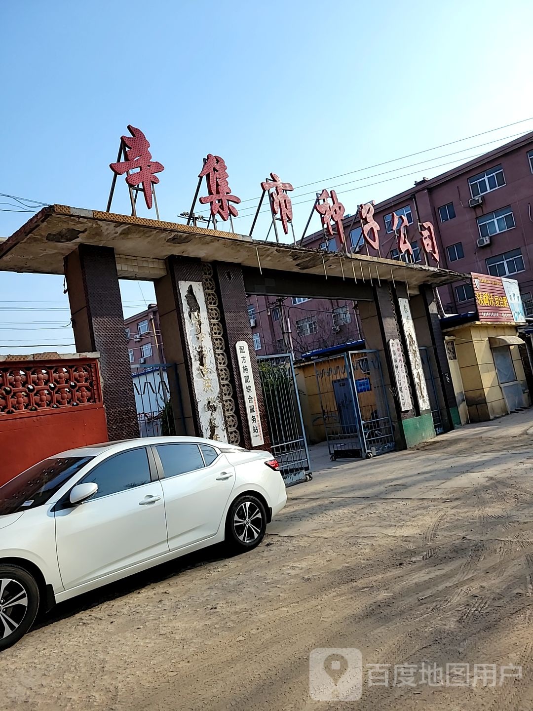 辛集市种子有限公司
