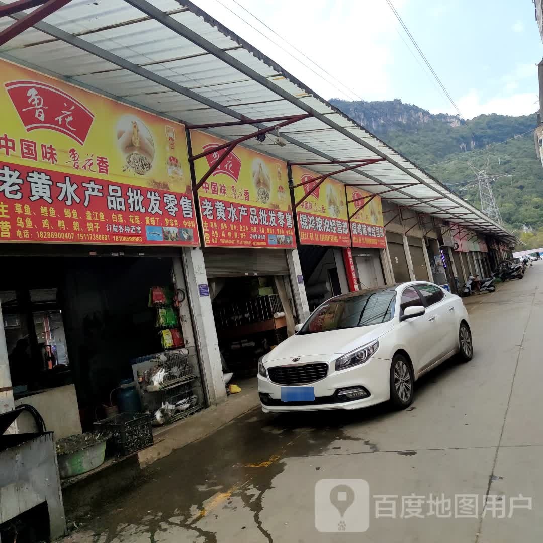 老黄水产品批发配售