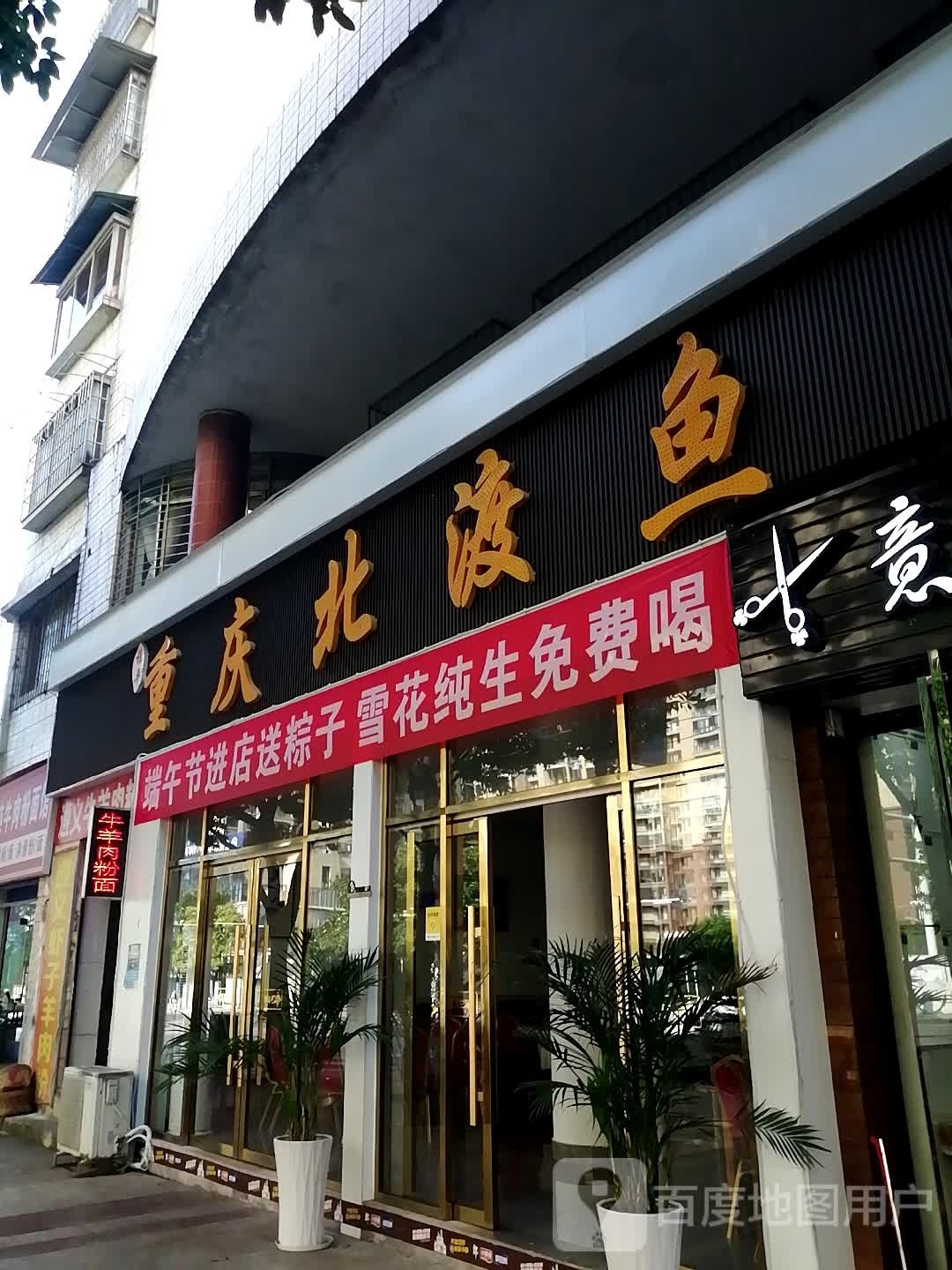 重庆市北渡鱼