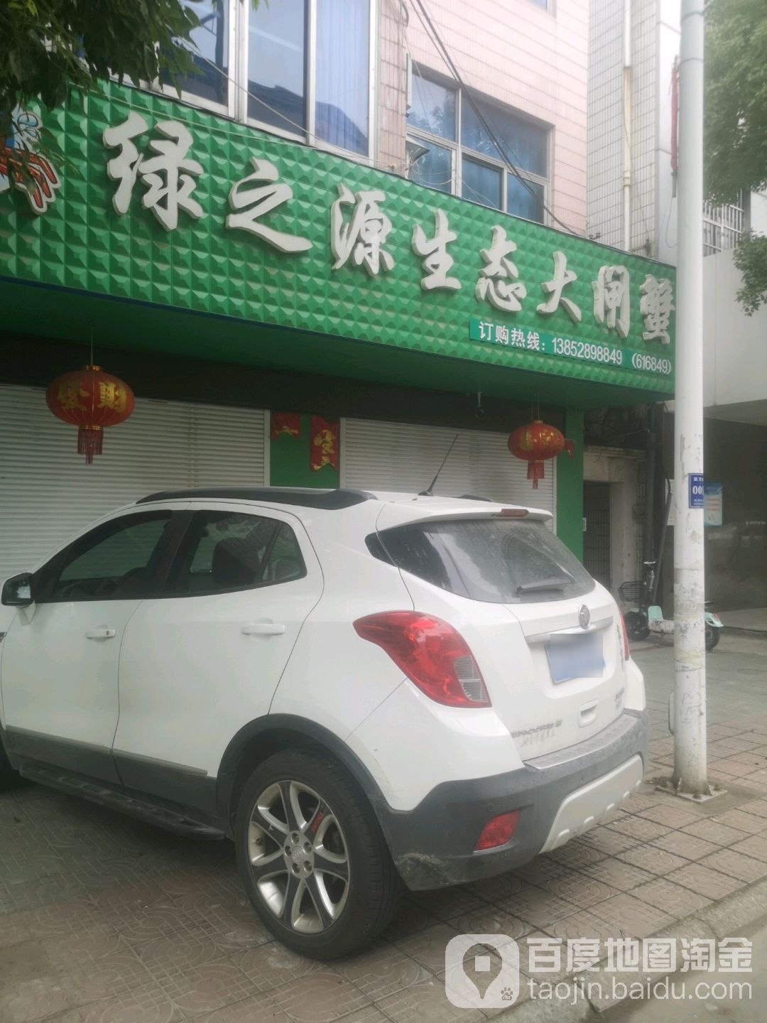 绿叶源生态大闸蟹