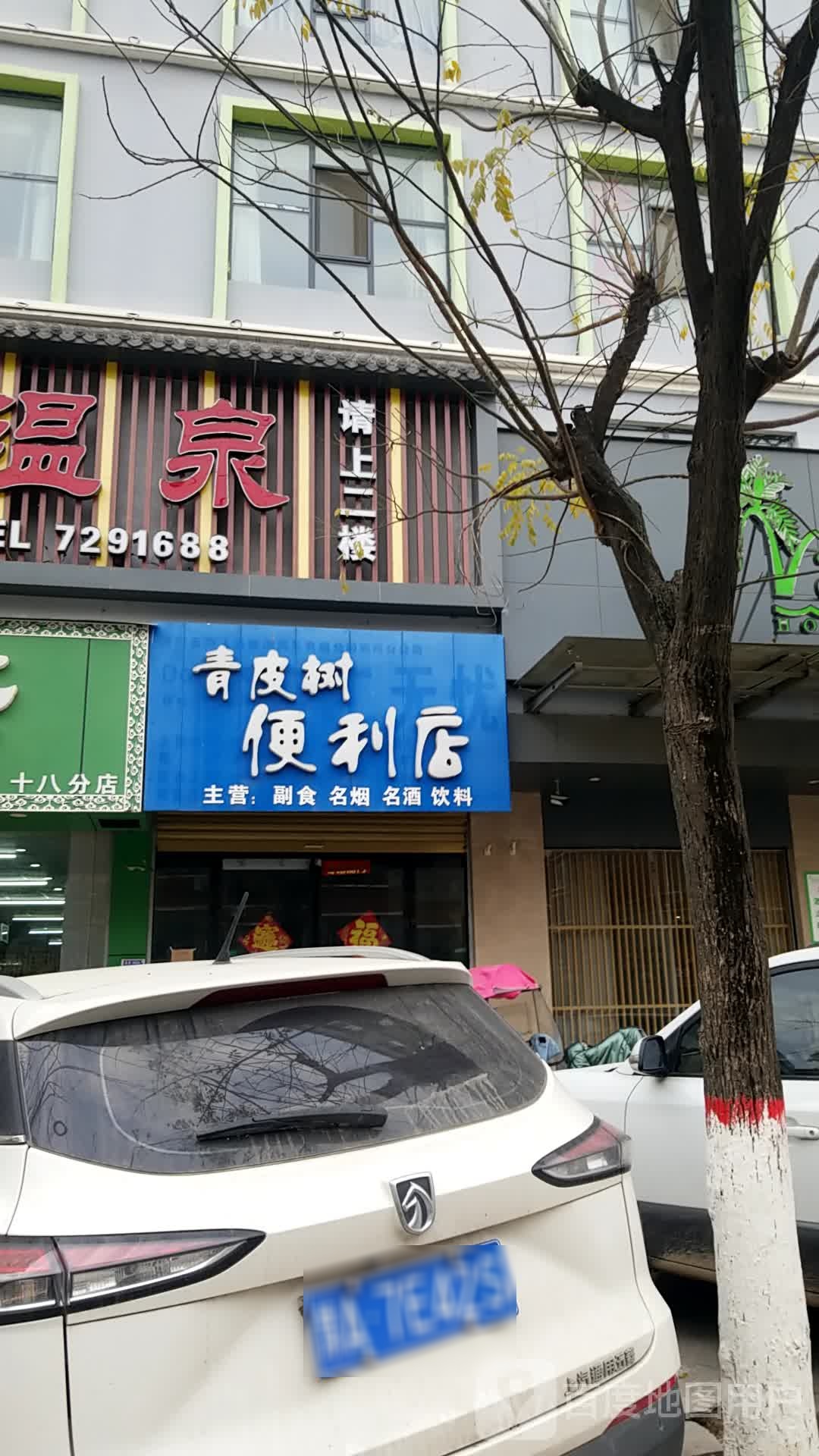 青皮树便利店(真源大道店)