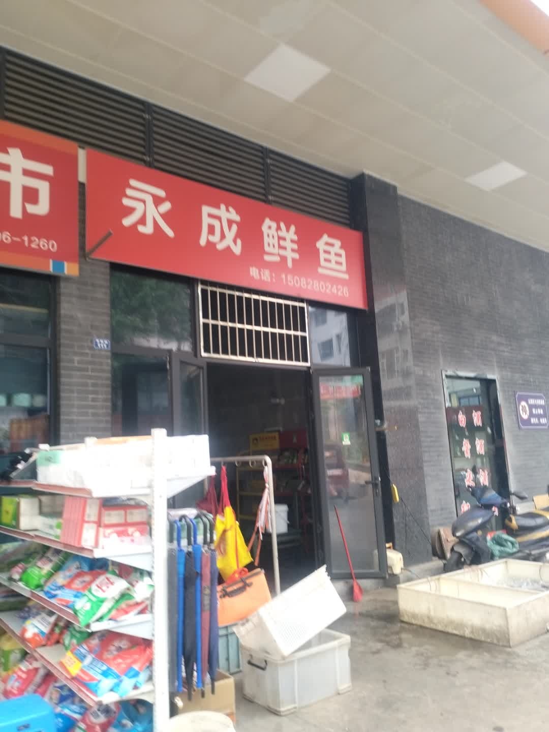 永成鲜鱼